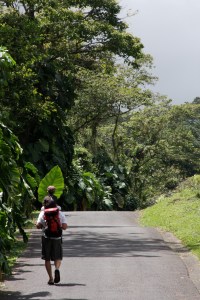 sun umbrella - islands style