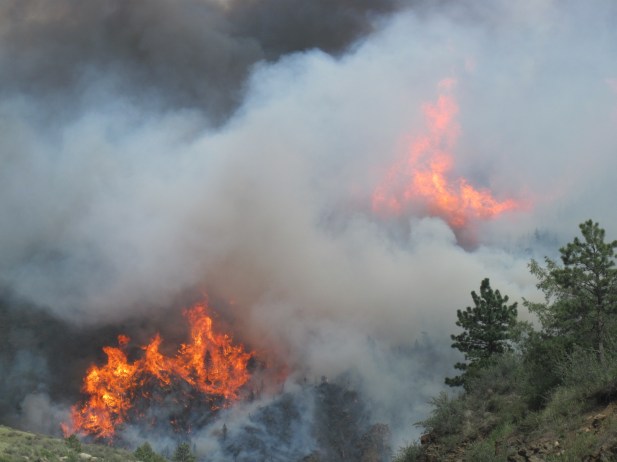 High Park fire - Josh Randall